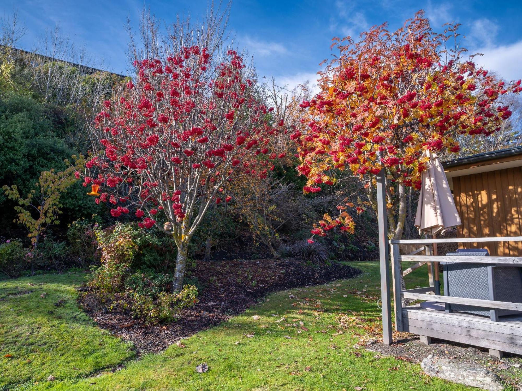 Wanaka Springs Lodge מראה חיצוני תמונה