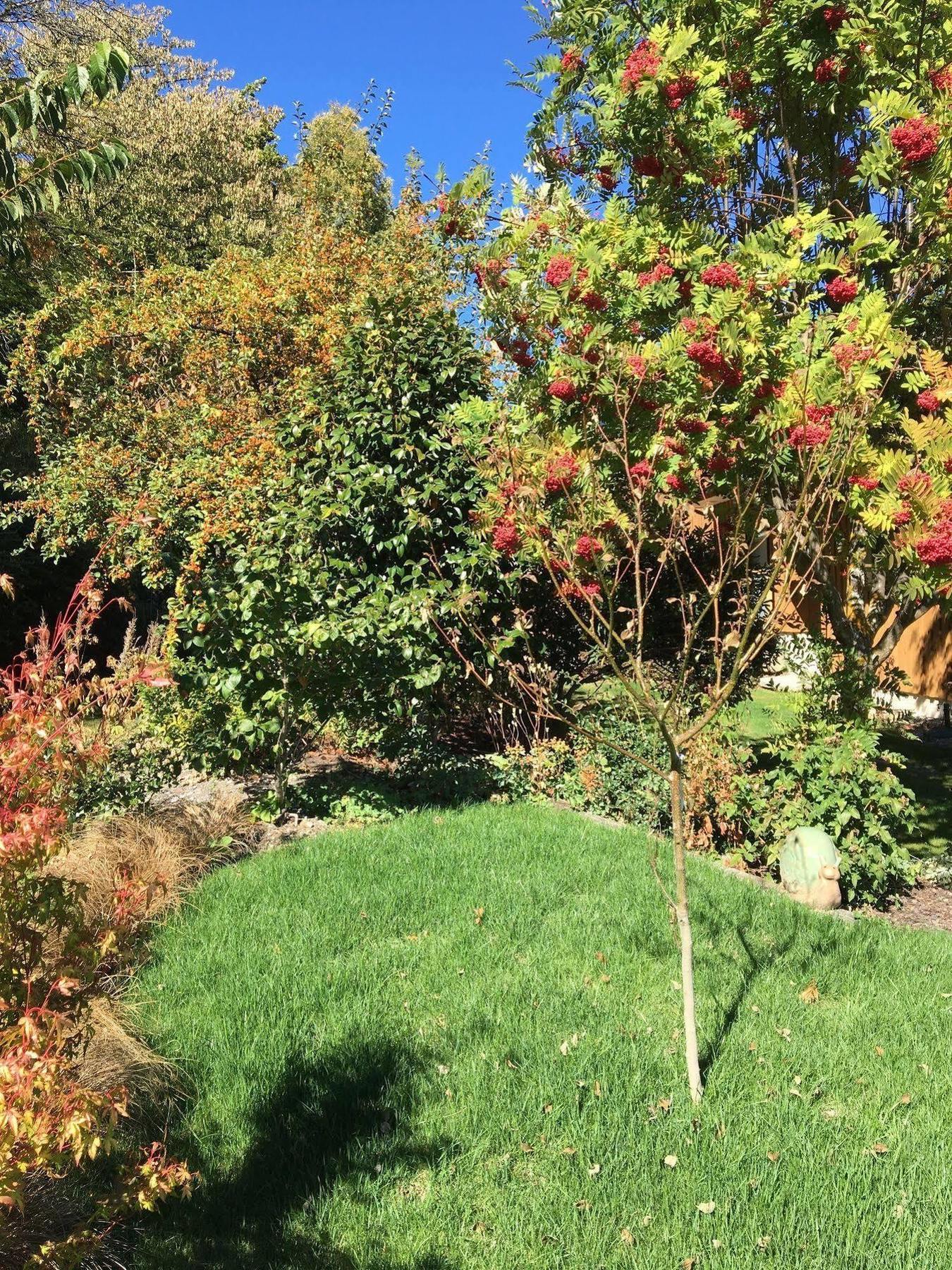 Wanaka Springs Lodge מראה חיצוני תמונה